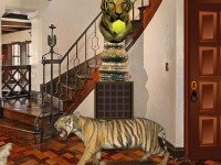 Taxidermy House Escape