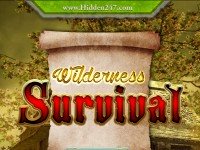 Wilderness Survival