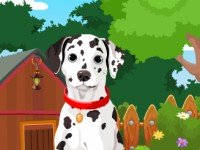 Cute Dalmatian Dog Rescue