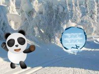 Panda Snow World Escape