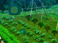 Vegetable Forest Garden Escape