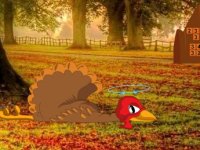 Wake Up Giddiness Turkey