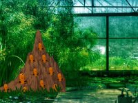 Termite Mound Forest Escape