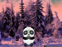 Snow Panda Land Escape