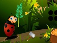 Ladybug Jungle Escape