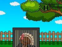 Joyful Turkey Escape