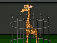 G2J Baby Giraffe Escape