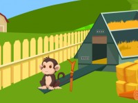 Petty Monkey Rescue