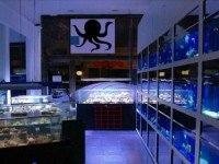 Escape From a Fish Shop